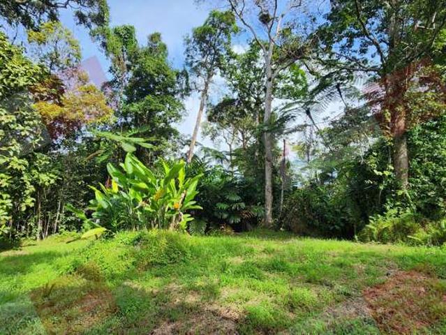 Land for sale
