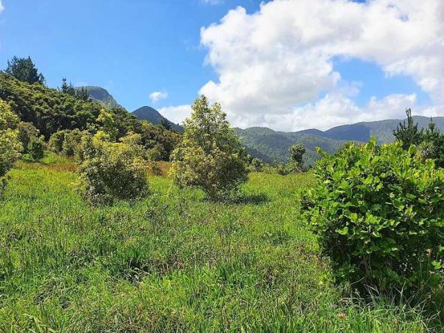 House for sale in Ohaeawai, Northland