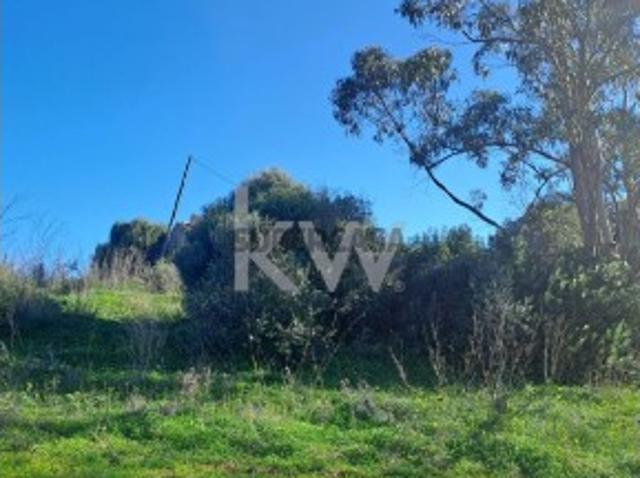 Terreno venda em Santiago Do Cacém, Vergeira Terreno venda em Santiago Do Cacém, Vergeira