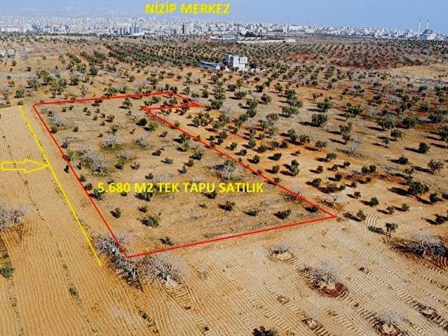 Nizip, Gaziantep içerisinde satılık Arsa