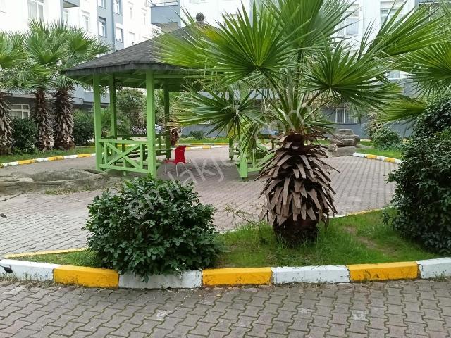 Adil Mahallesi, Sultanbeyli içerisinde kiralık mülk
