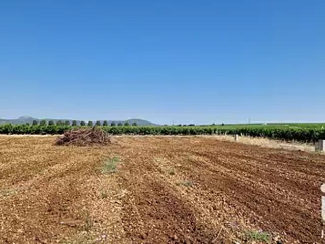Terrain vente à Adissan, Hérault