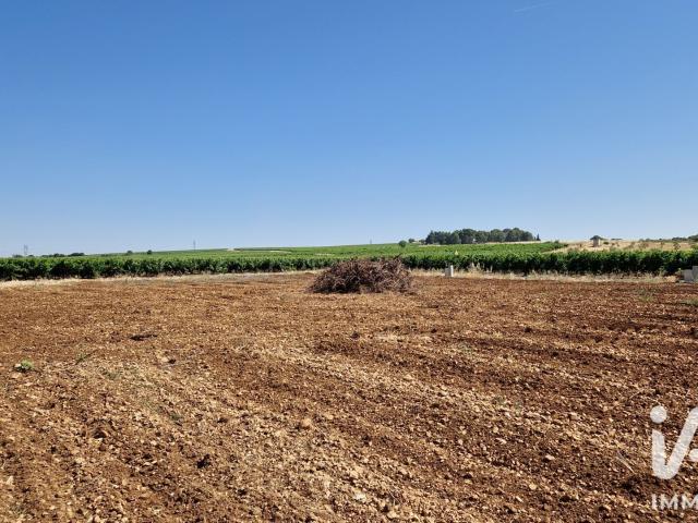Terrain vente à Béziers, Adissan