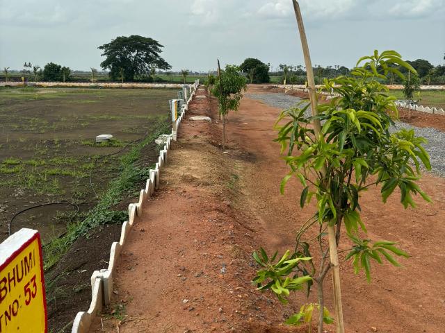 Land for sale in Vijayavada, Andhra Pradesh