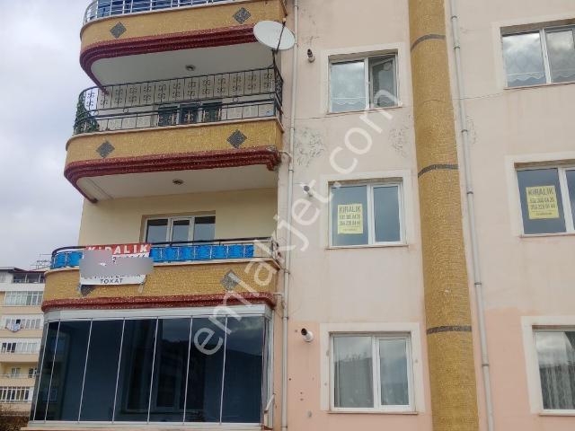 Tokat Merkez, Tokat içerisinde kiralık mülk