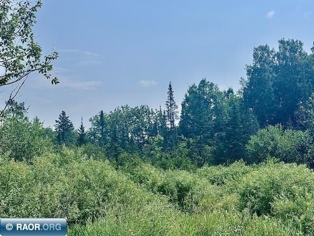 Land for sale in Mountain Iron, Saint Louis County