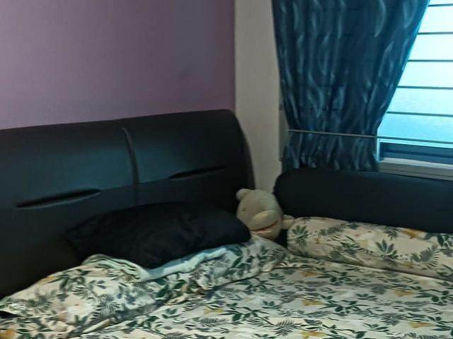Property for rent
