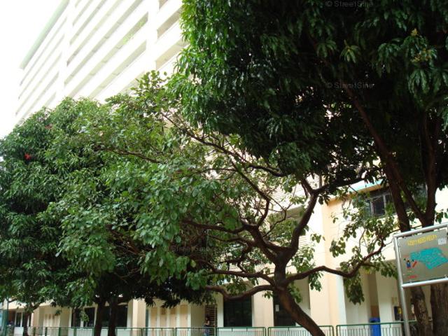 Detached House for rent