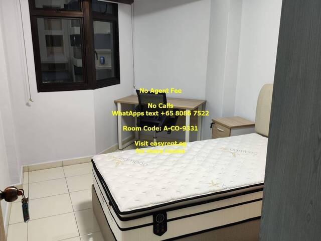 Room for rent