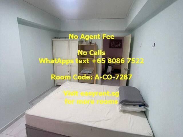 Room for rent