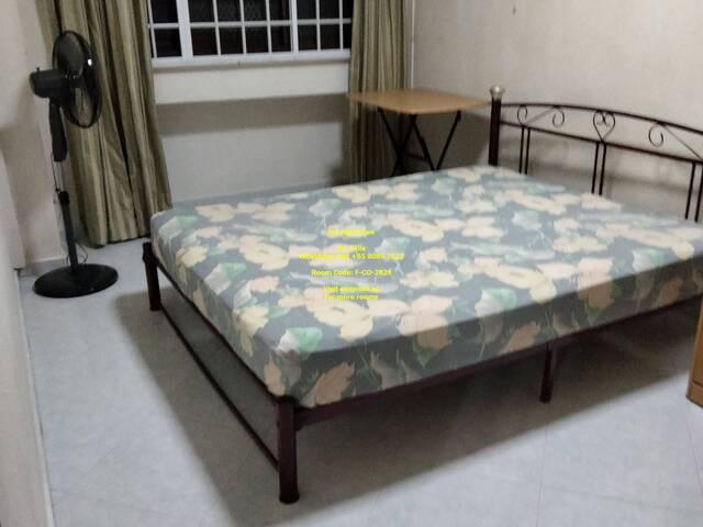 Room for rent