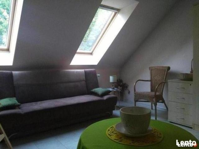 Room do wynajęcia w Dąbrowa Górnicza