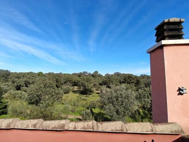 Villa en alquiler en Boadilla Del Monte