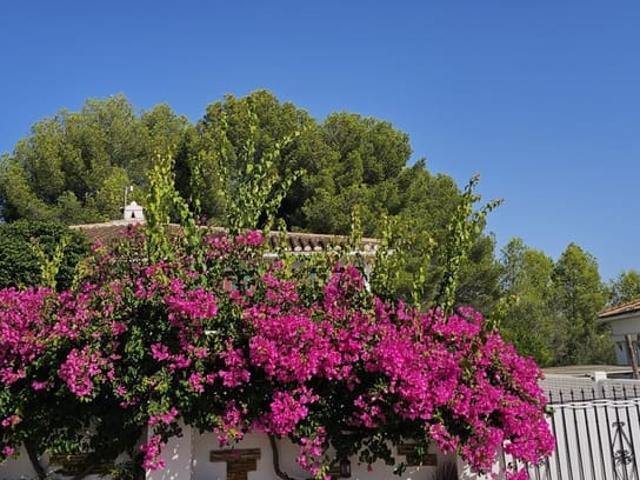 Chalet en venta en la Marina Alta, Valencia