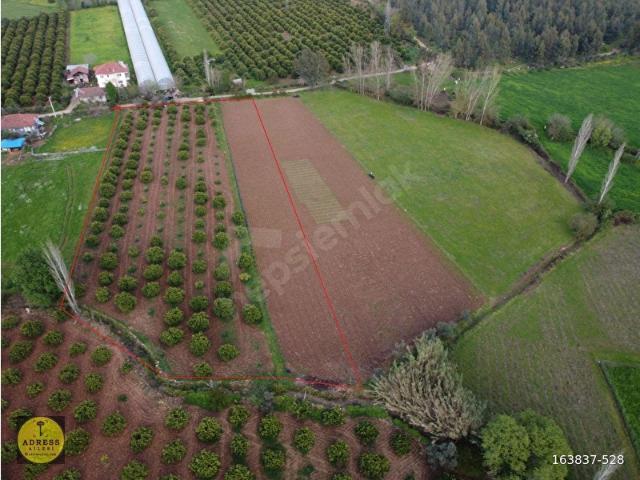 Köyceğiz, Muğla içerisinde satılık Arsa