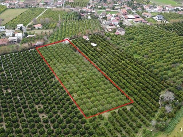 Ortaca, Muğla içerisinde satılık Arsa