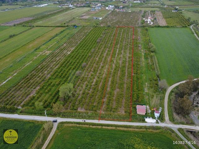Ortaca, Muğla içerisinde satılık Arsa