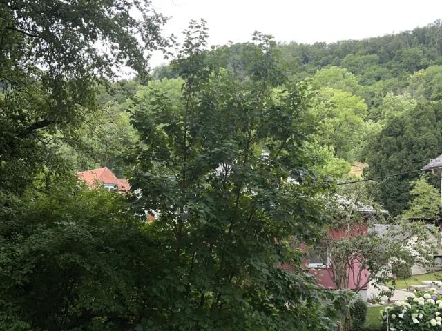 Apartment mieten in Graz, Steiermark