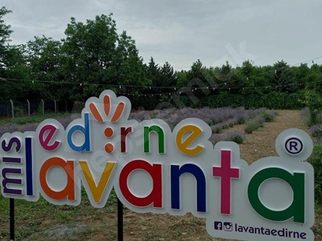 Karaağaç Mahallesi, Edirne Merkez içerisinde satılık mülk