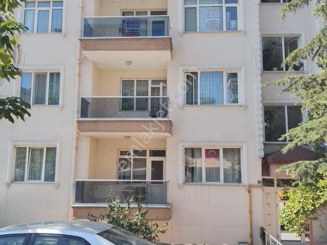 Edirne Merkez, Edirne içerisinde kiralık mülk