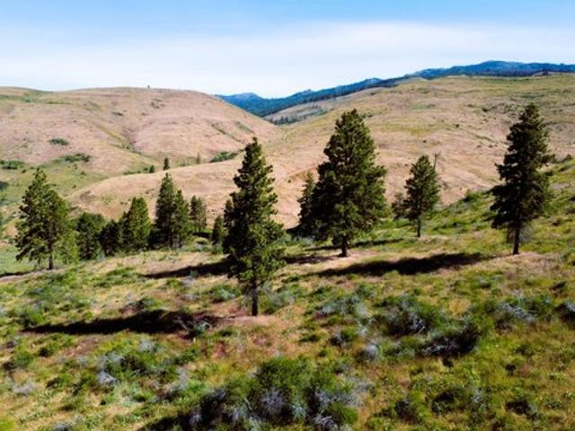 Land for sale in Cambridge, Idaho
