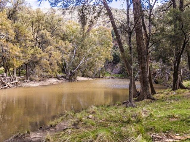 Cottage for sale in Hargraves, New South Wales