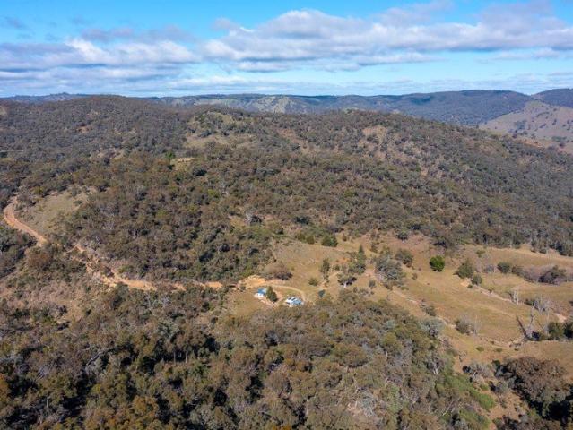Cottage for sale in Hargraves, New South Wales