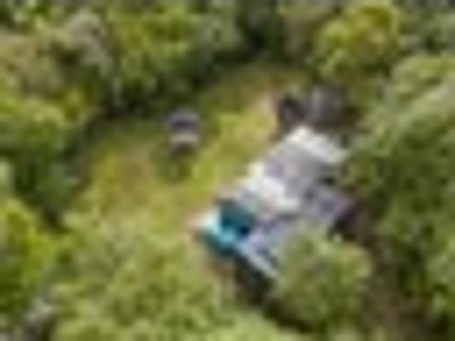 Land for sale in Waikato