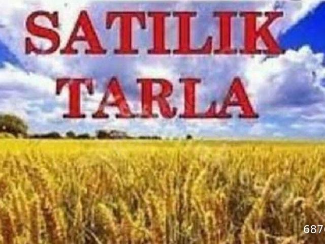 Afşar Mahallesi, Kalecik içerisinde satılık Arsa