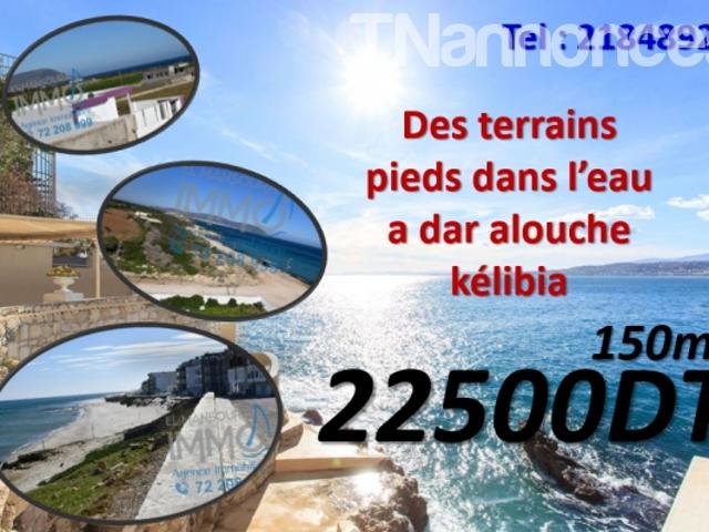 Terrain vente