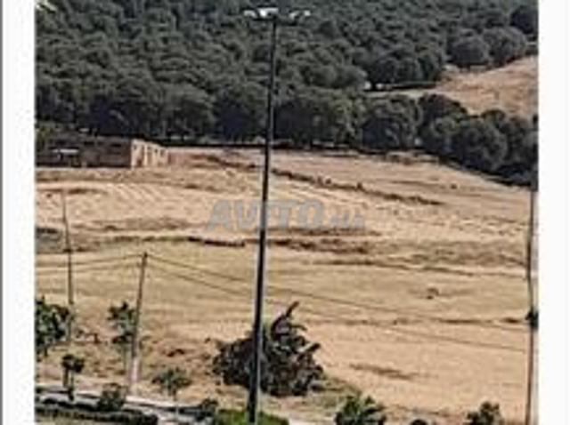 Propriété vente à Azrou