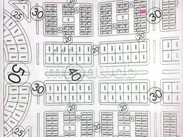 Terrain vente à Dakhla