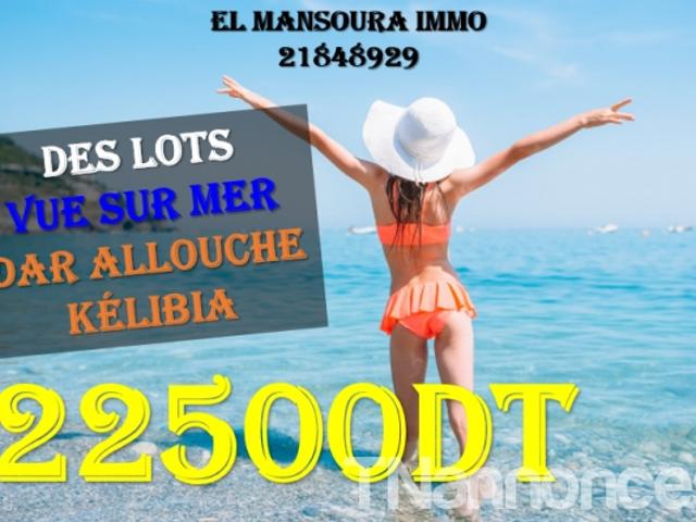 Terrain vente