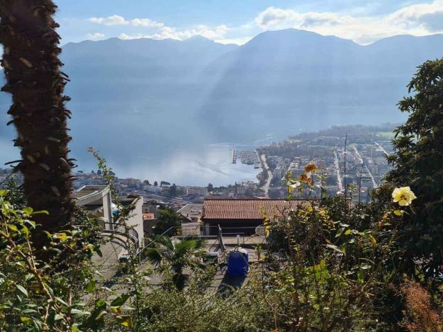 Immobilie kaufen in Locarno, Tessin