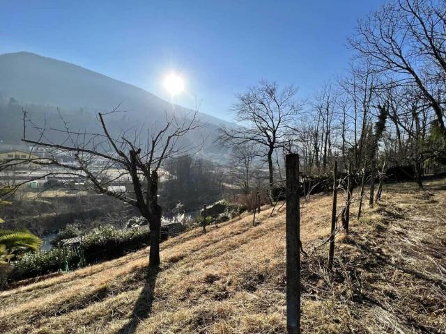 Immobilie kaufen in Biogno-Beride, Tessin