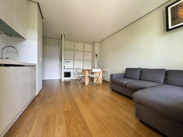 Apartment mieten in Paradiso, Tessin
