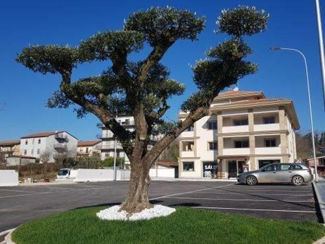 Appartamento in affitto a Roma Capitale, Lazio