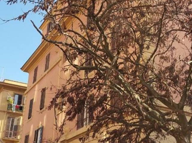 Appartamento in affitto a Municipio Roma VII, Roma Capitale