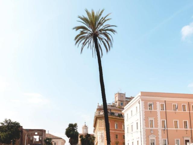 Appartamento in affitto a Municipio Roma I, Roma Capitale