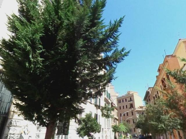 Appartamento in affitto a Municipio Roma V, Roma Capitale
