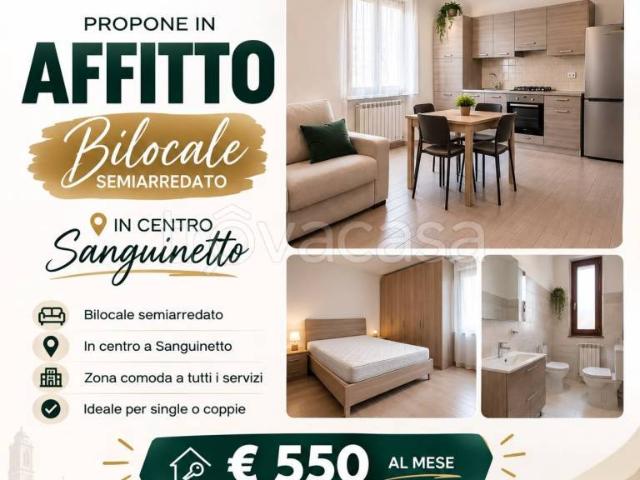 Appartamento in affitto a Sanguinetto, Veneto