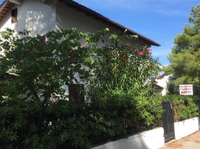 Villa Indipendente in affitto a Torchiara, Campania