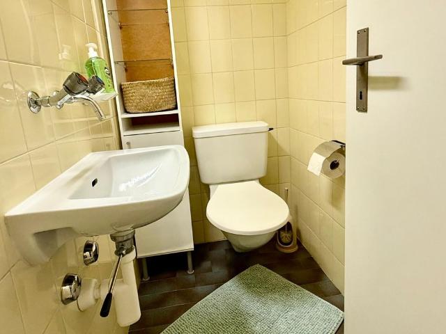 Apartment mieten in Paradiso, Tessin
