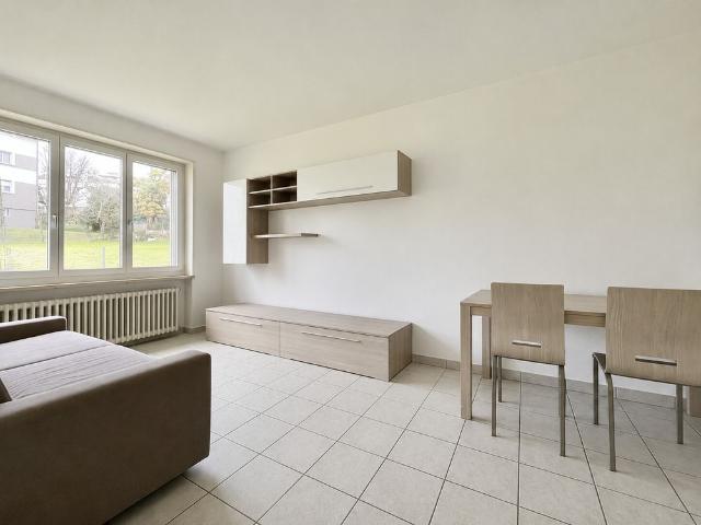Apartment mieten in Paradiso, Tessin