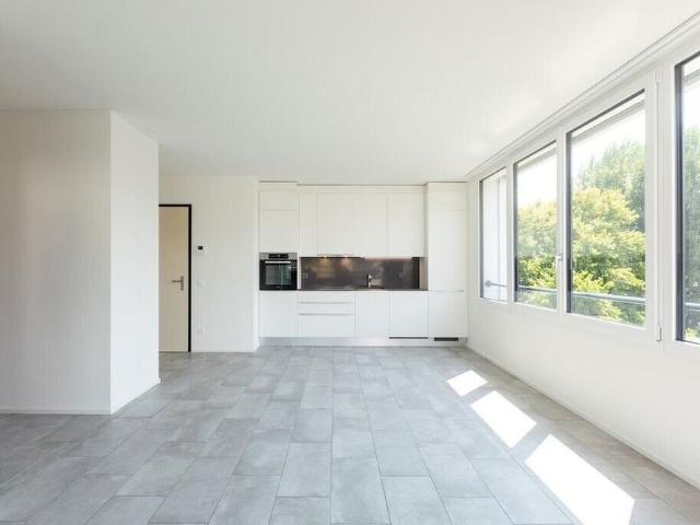 Apartment mieten in Massagno, Tessin