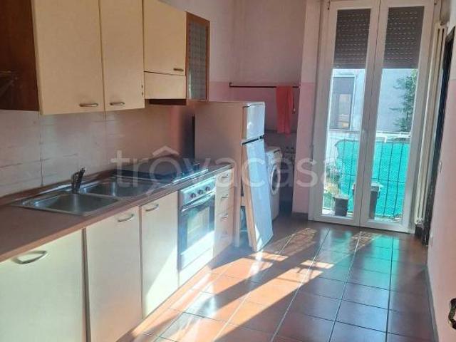 Appartamento in affitto a Rovigo, Veneto