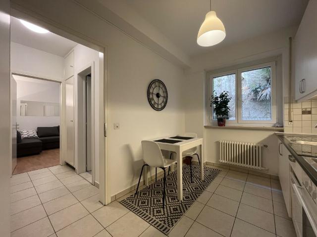Etagenwohnung mieten in Lugano