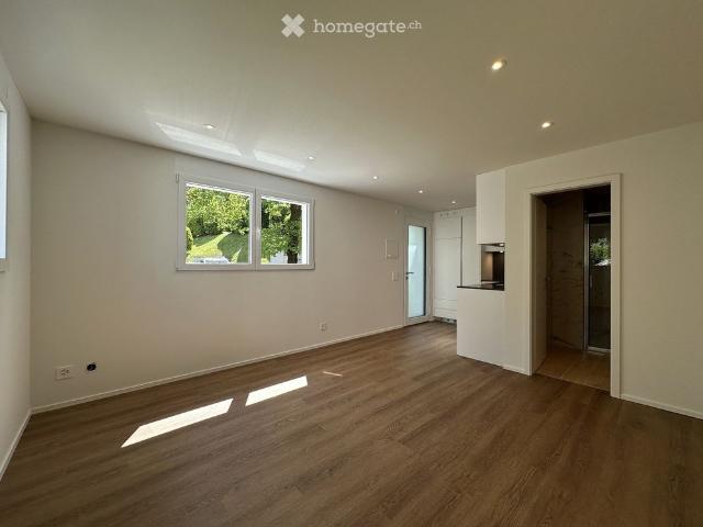 Apartment mieten in Circolo di Lugano est, Lugano