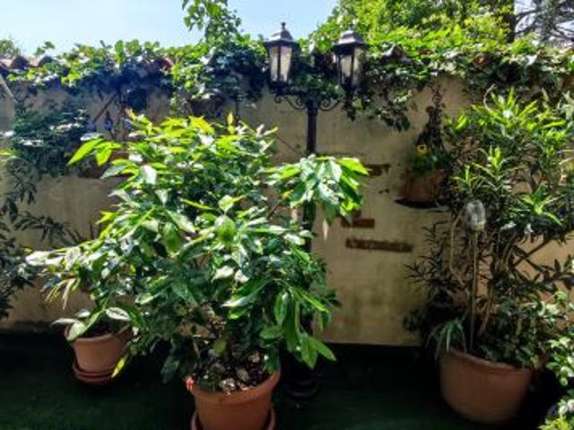 Appartamento in affitto a Bovisio Masciago, Lombardia