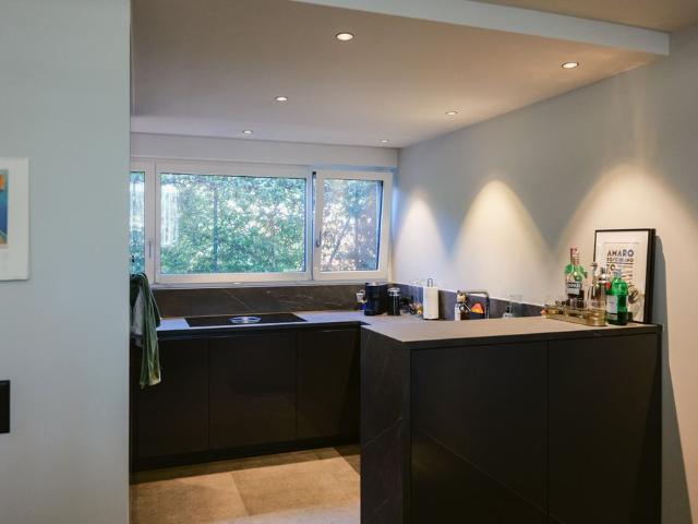 Apartment mieten in Paradiso, Tessin